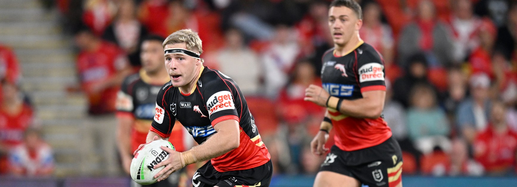 Return and earn your spot: Dolphins seek to solve forward puzzle