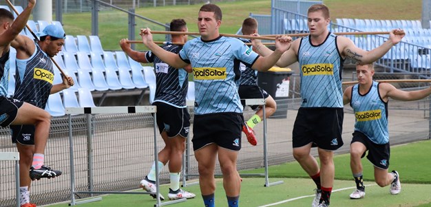 Flanno sizes up mini Gal as possible Sharks successor