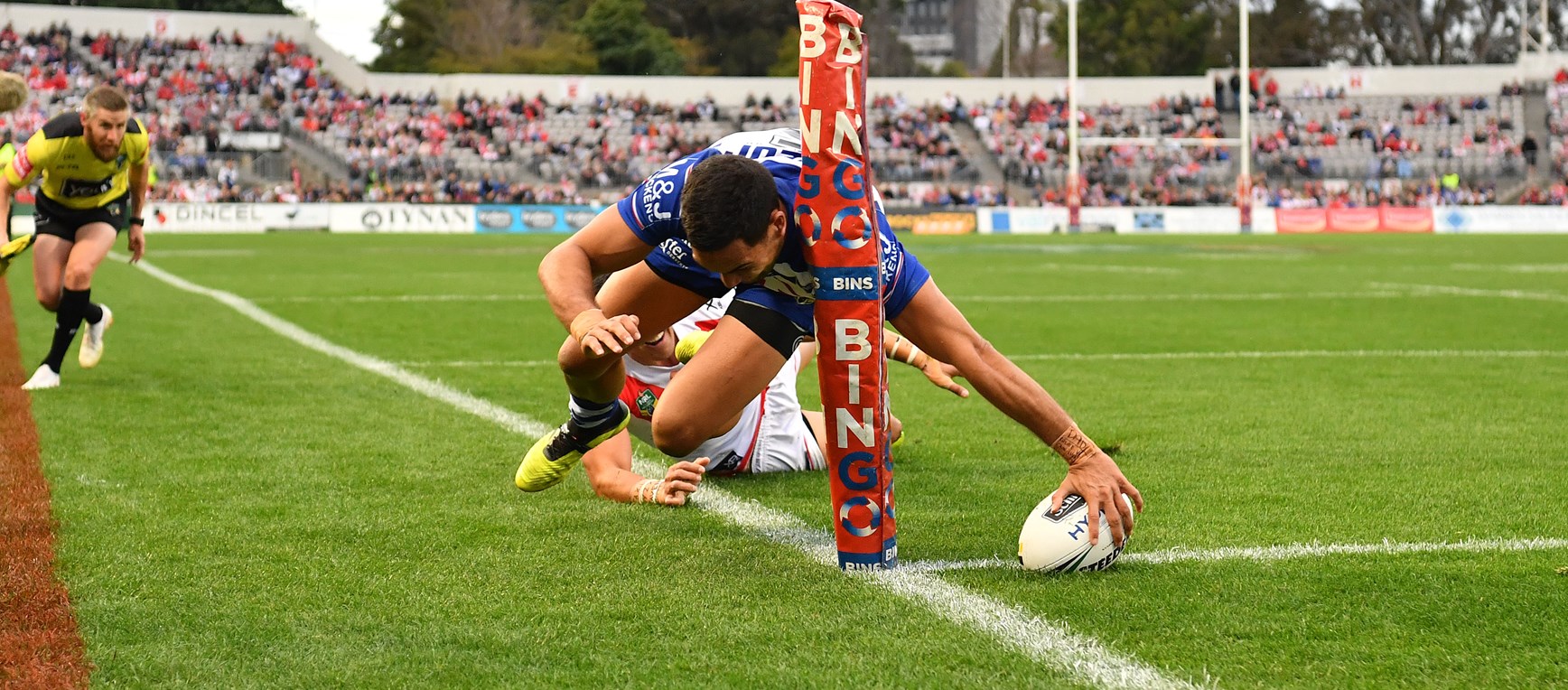 Canterbury Bulldogs: Best photos of 2018