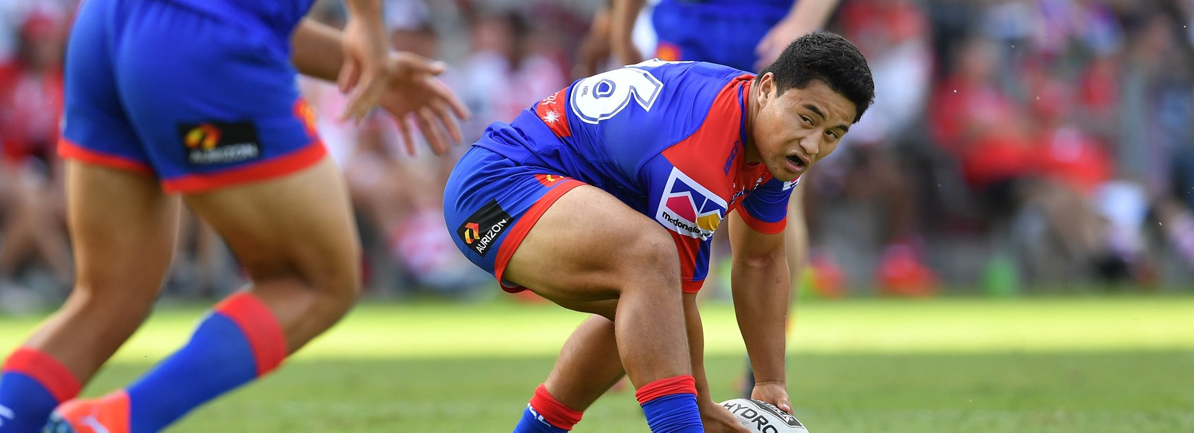 Knights recruit Mason Lino.