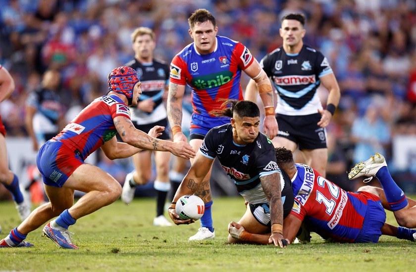 Oregon Kaufusi has become a leader of the pack for the Sharks. 