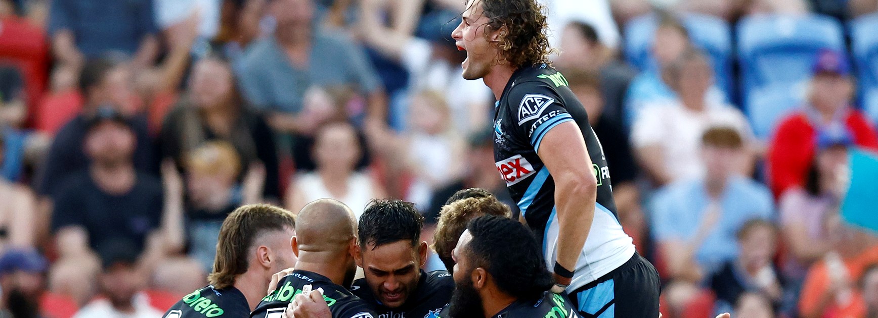 As it happened: Shark attack in Newcastle; Young leads Raiders comeback