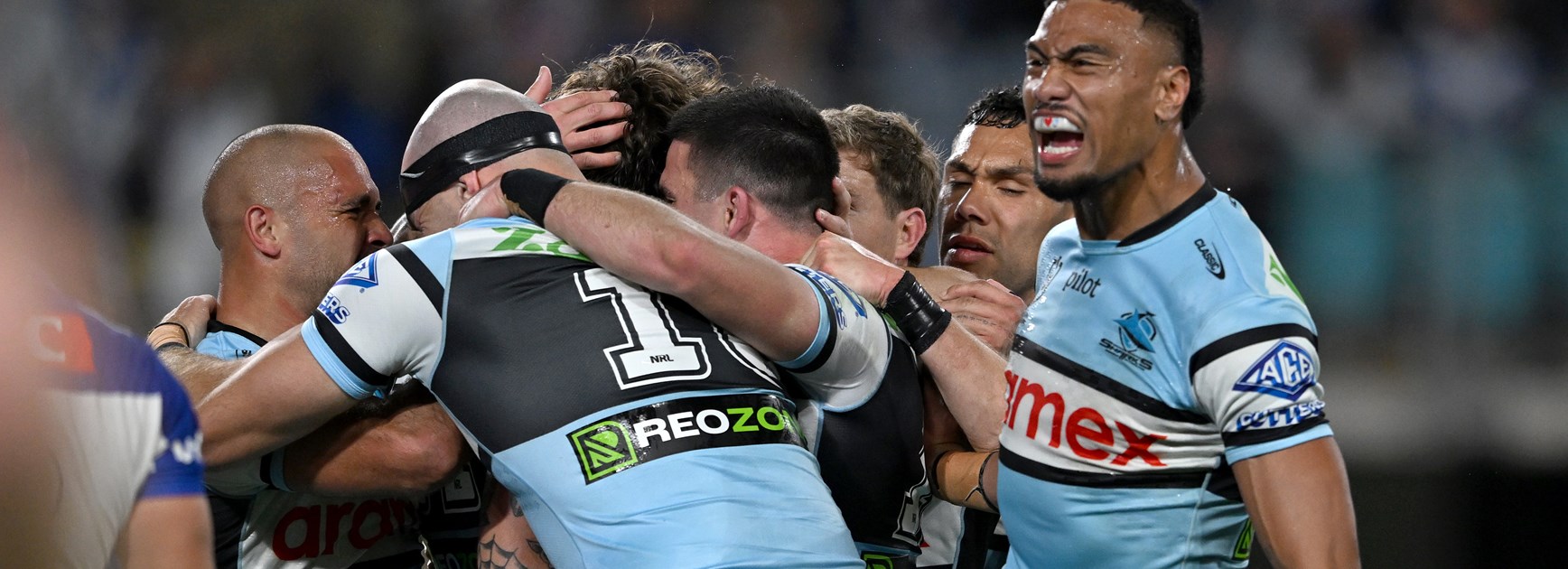 As it happened: Sharks muzzle Dogs; Titans tame Tigers; Panthers snare seventh