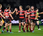 'Powerhouse': Why Perth Bears offer the best of both worlds